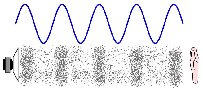 Sound Waves Sound Waves