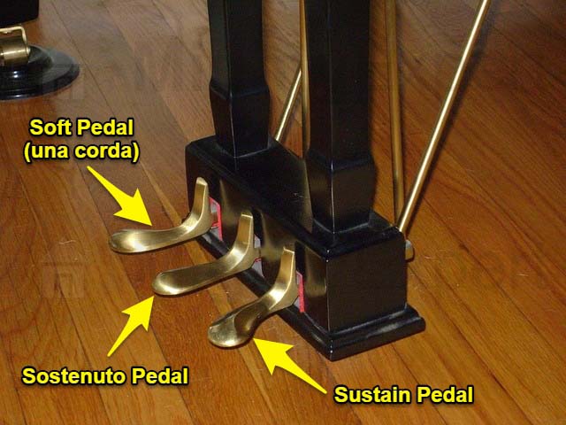 Three Piano Pedals Annotated Three Piano Pedals Annotated