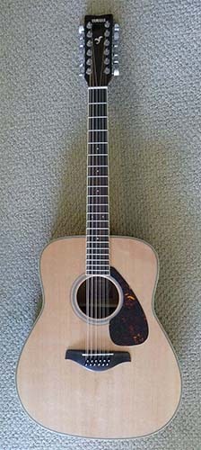 12-String Acoustic Guitar 12-String Acoustic Guitar
