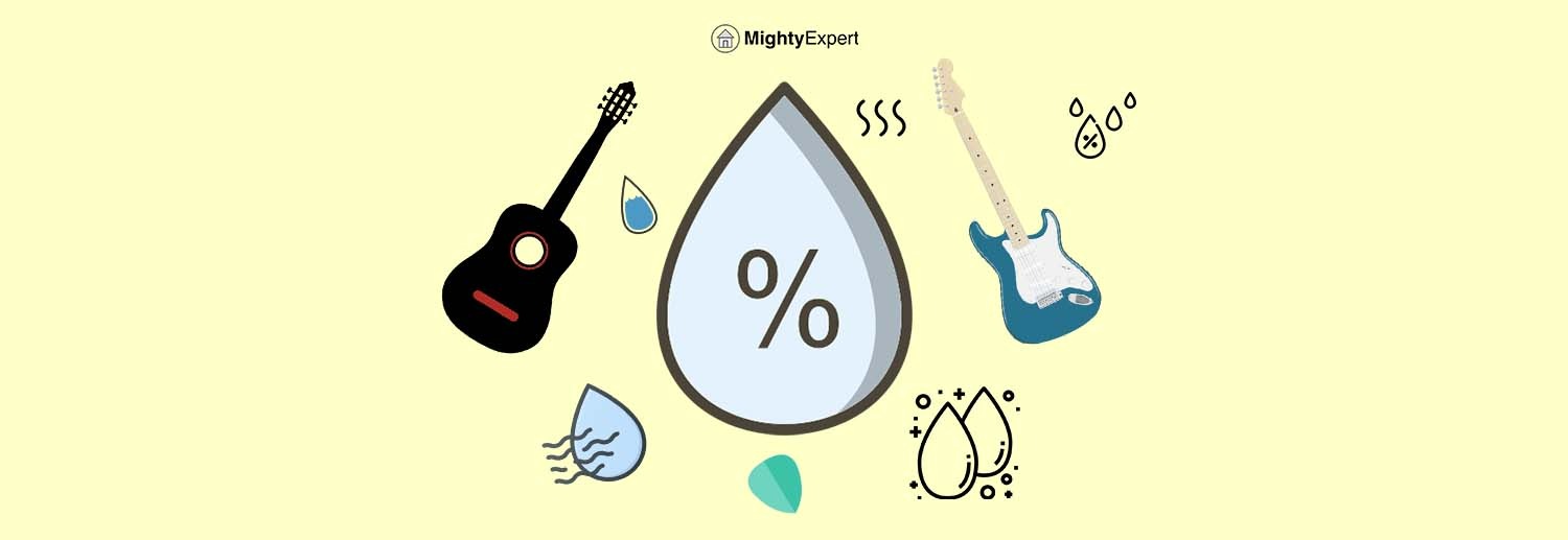 Best Guitar Humidifiers Hygrometers Guide Reviews 2019